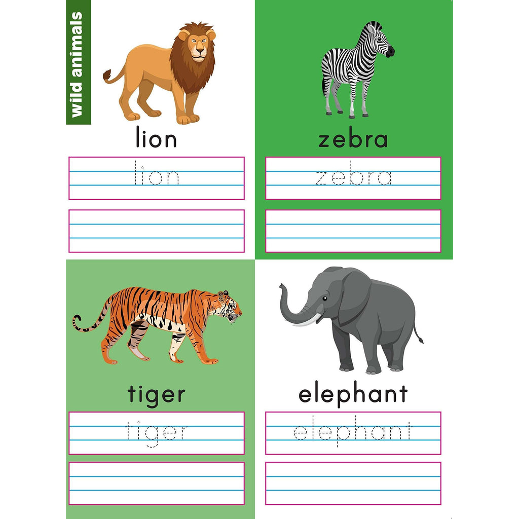 FIRST WORDS - WIPE & CLEAN WORKBOOK WITH FREE PEN    [PE40037]