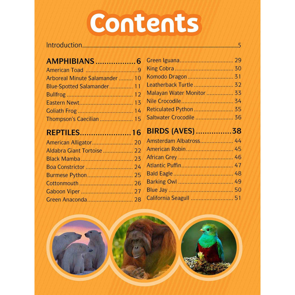 ANIMAL WORLD - CHILDREN'S ENCYCLOPAEDIA    [PE58681]